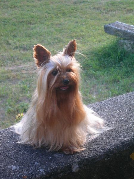 Cybell Du domaine de monderlay